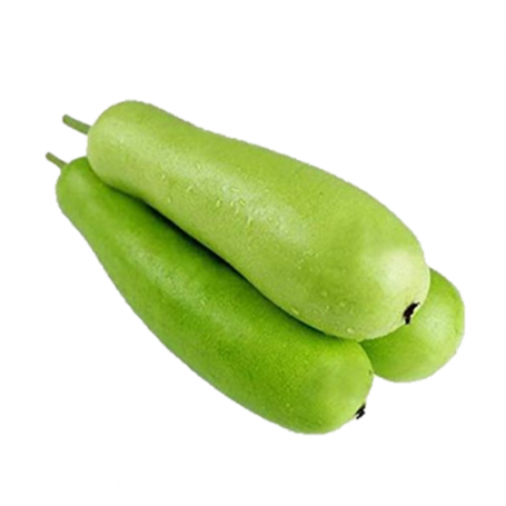 Bottle Gourd