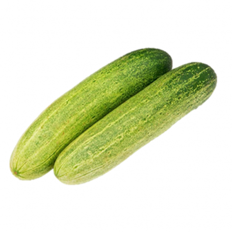 Cucumber