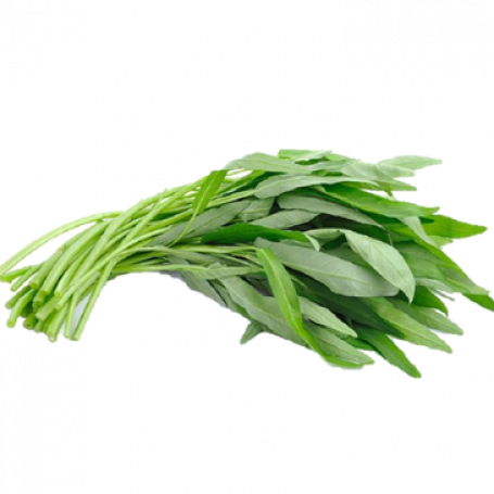 Kangkong